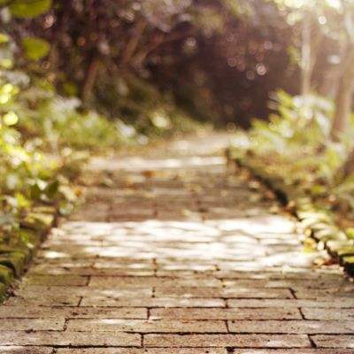 皇冠新体育手机app下载